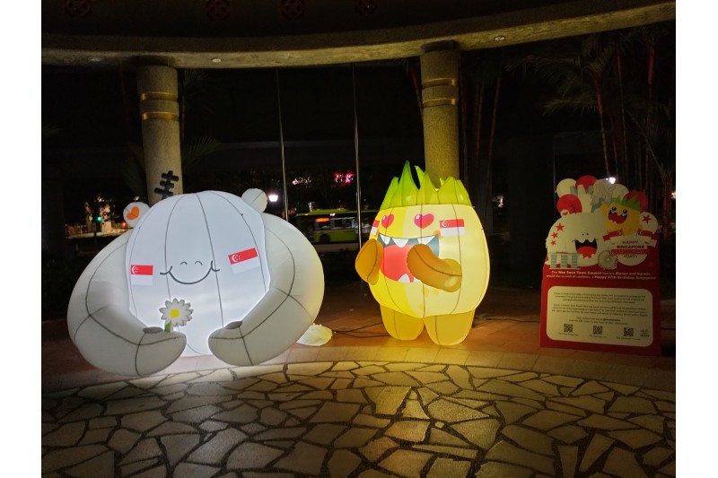 Customise 2m Inflatable Lighted Cartoons